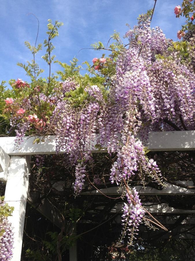 호바트 Natone B&B 외부 사진