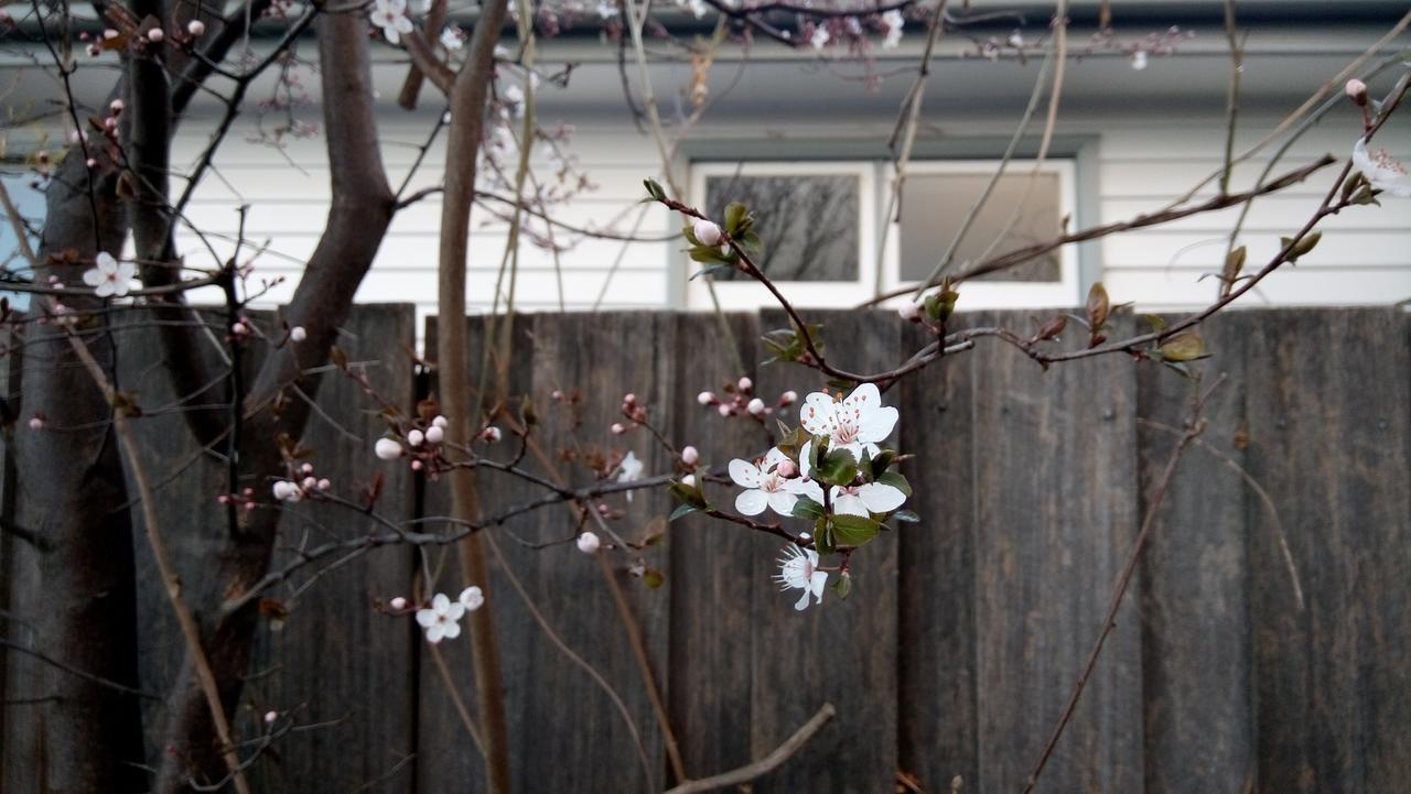 호바트 Natone B&B 외부 사진